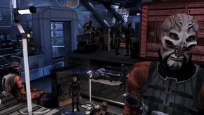 I loro pianeti bruciano e con molti di loro trasformati dai Razziatori, i batarian sopravvissuti hanno cercato rifugio sulla Cittadella