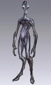 Concept art di un salarian