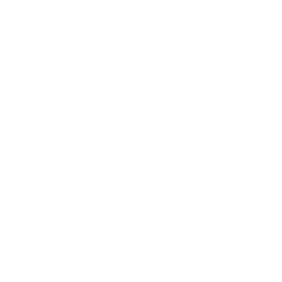 Icon.png