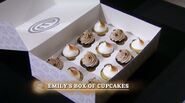 Emily's Pressure Test Cupcakes