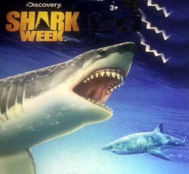 matchbox shark track