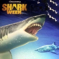 matchbox shark week shark ship