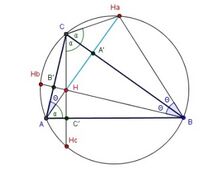 Ortocentar 3.jpg