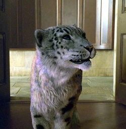 Стелмария фильм