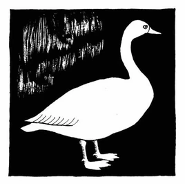 Книжная заставка Книга1 Глава11