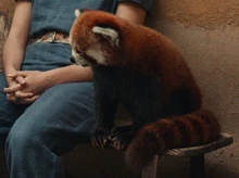 Пантелеймон Сезон2