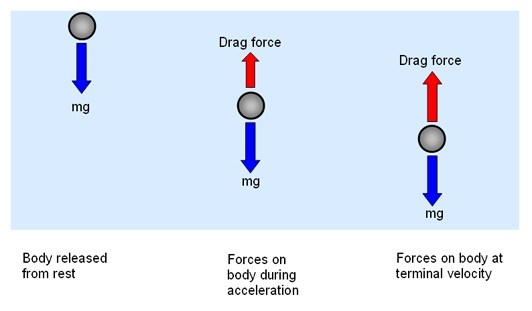 Drag Force of a Falling Object  Math & Physics Problems Wikia