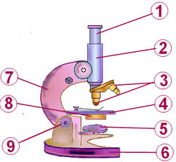 Schema unui microscop si componentele