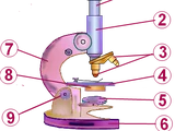 Microscop