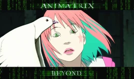 The Animatrix Beyond