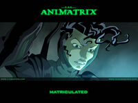 The Animatrix Matriculated2