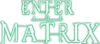 Enter the Matrix logo