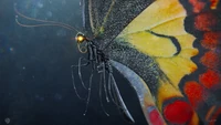 Butterfly Bot