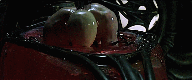 1904A6FC-4B7B-4CFC-8366-74D6C590D745.gif