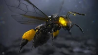 Bee Bot