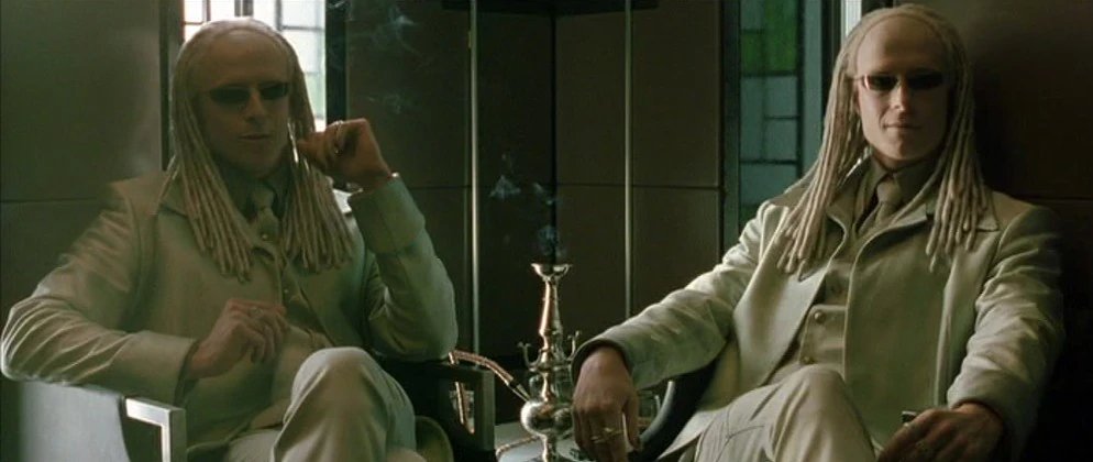 The Twins | Matrix Wiki | Fandom