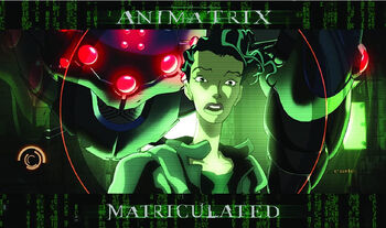 The Animatrix Matriculated