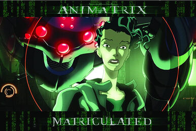 The Animatrix - Wikipedia