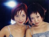 Cibo Matto