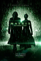 The Matrix Resurrections Rain Poster