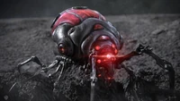 Mite Bot