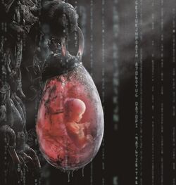 Fetus Pod