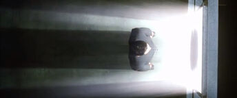 Neo entering the Door of Light into the Architect's chamber.