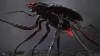 Crab Bot