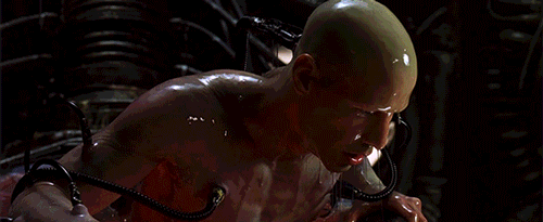 54029117-EC4C-4A16-B4A5-A78DF98B81D0.gif