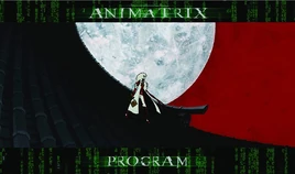 The Animatrix Program