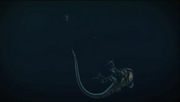 Plaztek sinking in the ocean