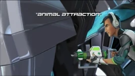 AnimalAttraction