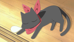 Sakamoto-cat GIFs - Get the best GIF on GIPHY