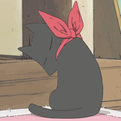 Sakamoto Cat GIFs