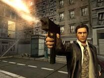 Max Payne(2)