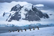 Antarctica | Maxska Chernan Universe Wiki | Fandom