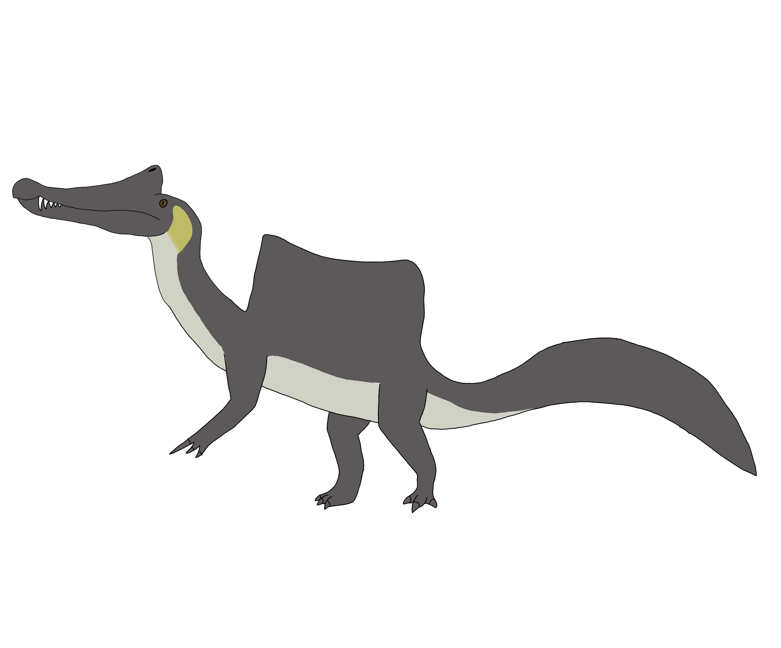 Spinosaurus MaybeConcave Wiki Fandom lady-optimera-no