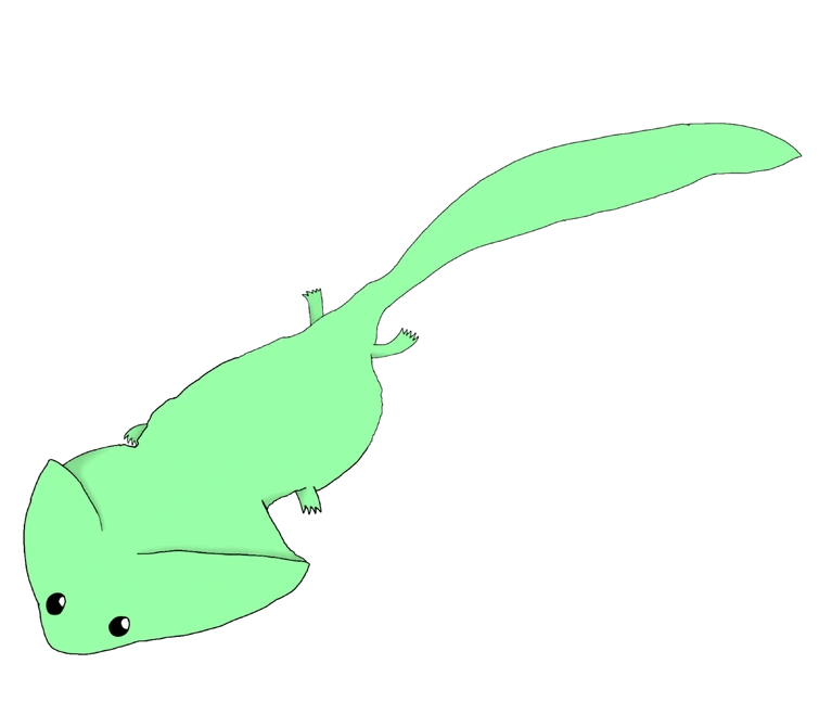 Diplocaulus MaybeConcave Wiki Fandom diplocaulus-maybeconcave-wiki-fandom