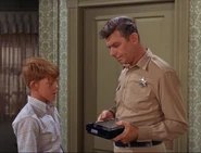 "The law can't use this type of help"