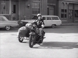 S4E16 - Barney's Sidecar
