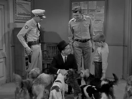 Inspector with dogs