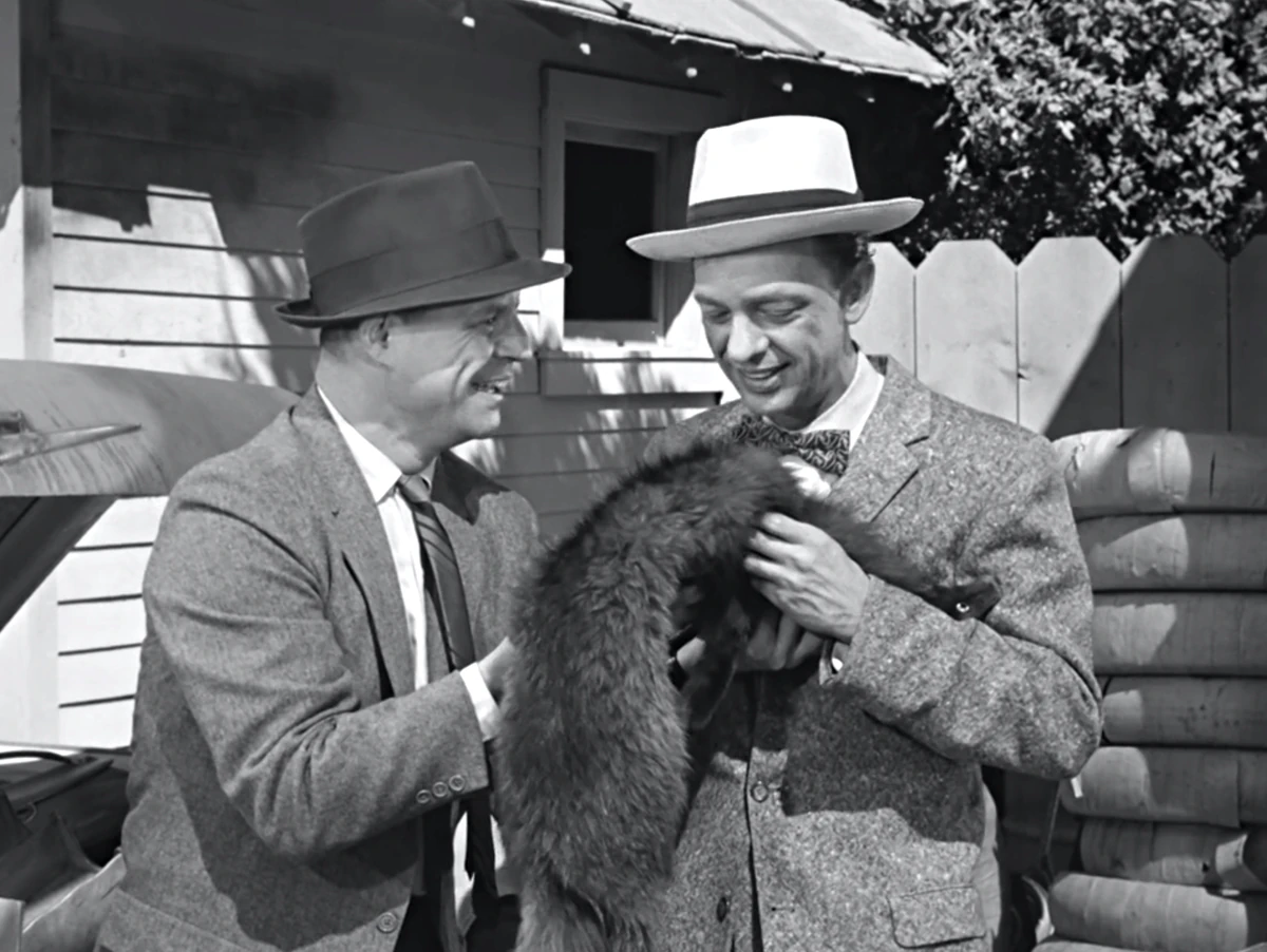 The Luck of Newton Monroe Mayberry Wiki Fandom