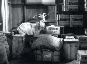 S3E18 - The Loaded Goat
