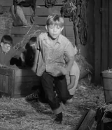 John wildcat