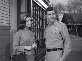 S5E24 Guest in the House