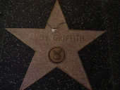 Andy's star on the Hollywood Walk of Fame