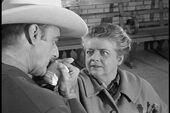 Aunt Bee Wooed