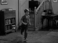 1x08-Opie-s-Charity-the-andy-griffith-show-17880098-640-480.jpg (38 KB)