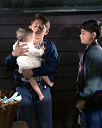 Opie Finds A Baby Mayberry Wiki Fandom