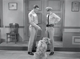 S5E6 - Barney's Bloodhound